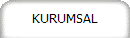 Taşıyıcı MAKARALAR